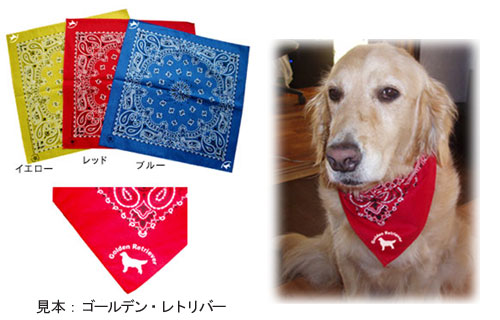 犬種と名前の入る犬のバンダナ Dog Owner S Goods 014 制作実績 ブログ 抱き枕 クッションのオリジナルプリント 彩